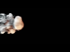 Câmara de ensaio de inflamabilidade por toque - ecrã / Equipamento de ensaio de rastreamento 0,5 M3 Chapa de aço inoxidável